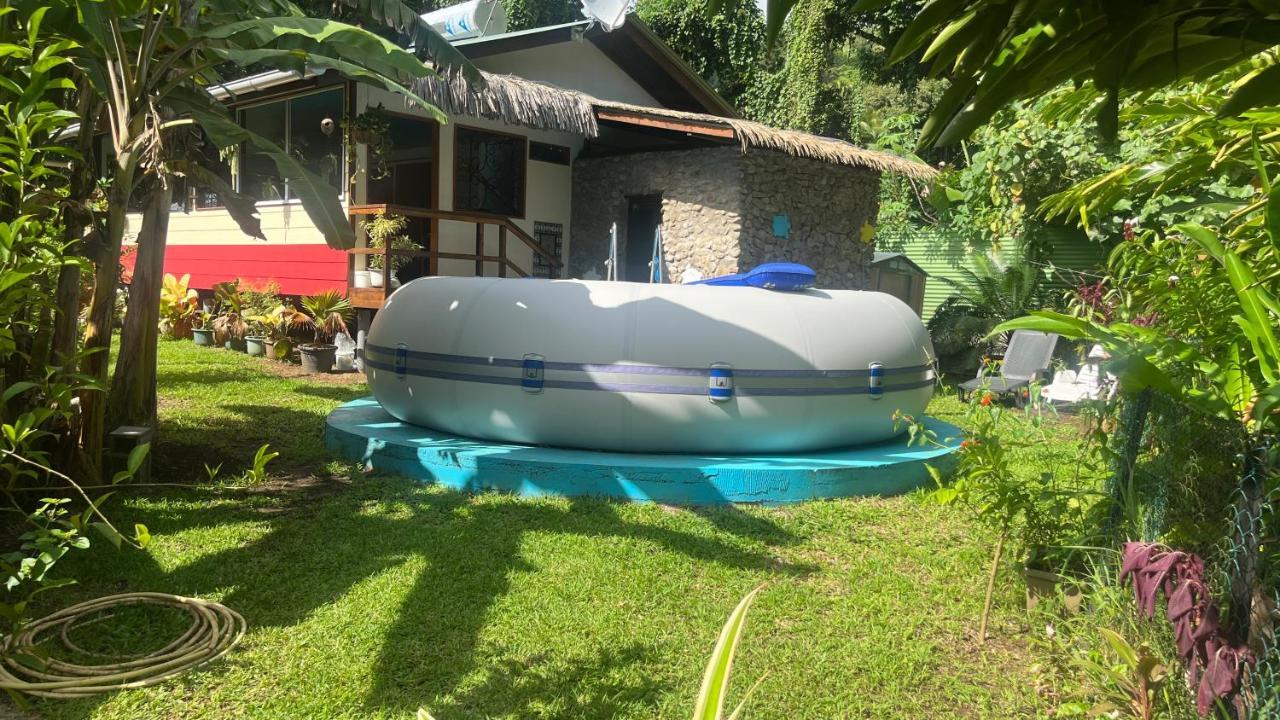 Fare Honu Cook'S Bay Moorea Luaran gambar